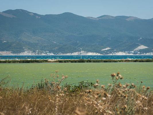 Директор спортклуба в Новороссийске оштрафована на 15 тысяч рублей за проведение пенной вечеринки на территории памятника природы Суджукская лагуна Мероприятие прошло без согласования с министерством природных ресурсов Краснодарского края что является нарушением режима охраны этой территории Природоохранная прокуратура возбудила дело по административной статье за нарушение правил охраны природных ресурсов на особо охраняемых территориях и назначила штраф Кубанские Новости Мы в MAX