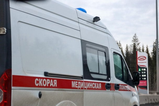 Двое парней - в реанимации после укусов змей в Ленобласти В десятом часу вечера 4 июня в полицию поступил сигнал о госпитализации 17-летнего жителя Гатчины. Молодого человека за палец руки укусила змея у Елизаветинского карьера.С токсическим эффектом в состоянии средней тяжести его поместили в реанимацию. Тем же вечером скорая помощь доставила в больницу 16-летнего петербуржца. Его змея укусила в обе кисти в деревне Лемболово. Кроме того, медики зафиксировали у молодого человека алкогольное опьянение. Его состояние тоже было непростым, он тоже - в реанимации. Elena Mayorova / Global Look Press