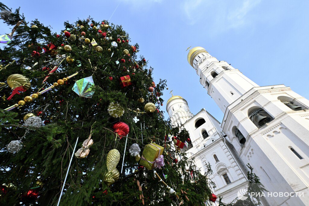 Главную елку страны привезут в Кремль 10 декабря Ель которая украсит Соборную площадь Кремля нашли на территории Рузского муниципального округа Московской области Ее высота составляет 26 метров обхват ствола 64 сантиметра а размах нижних ветвей 11 метров Подписаться на РИА Новости