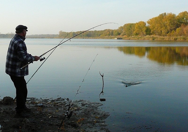Жителей Ростовской области предупредили о запрете на вылов судака и шемаи Жителям Ростовской области напомнили о действующих ограничениях вылова двух видов рыбы Речь идет о полупроходном судаке и азово черноморской шемаи сообщили специалисты Азовского научно исследовательского института рыбного хозяйства АзНИИРХ Запрет на вылов судака действует на акваториях реки Дон Азовского моря и Таганрогского залива Ограничения на добычу шемаи сохраняются до вступления в силу поправок в федеральные правила рыболовства для Азово Черноморского бассейна Кроме того в Ростовской области сохраняется полный запрет на вылов видов занесенных в Красную книгу России и Красную книгу Ростовской области Это русский осетр стерлядь севрюга а также золотой карась обыкновенный елец вьюн волжский подуст белоглазка и другие Подписаться на Новости Ростова Прислать новость Мы в Max rostovnews61