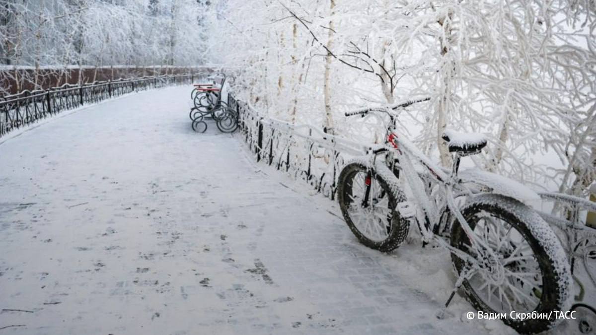 Снег покрыл 95 территории России сообщил Роман Вильфанд Оставшиеся 4 5 это Южный Северо Кавказский и Центральный федеральные округа