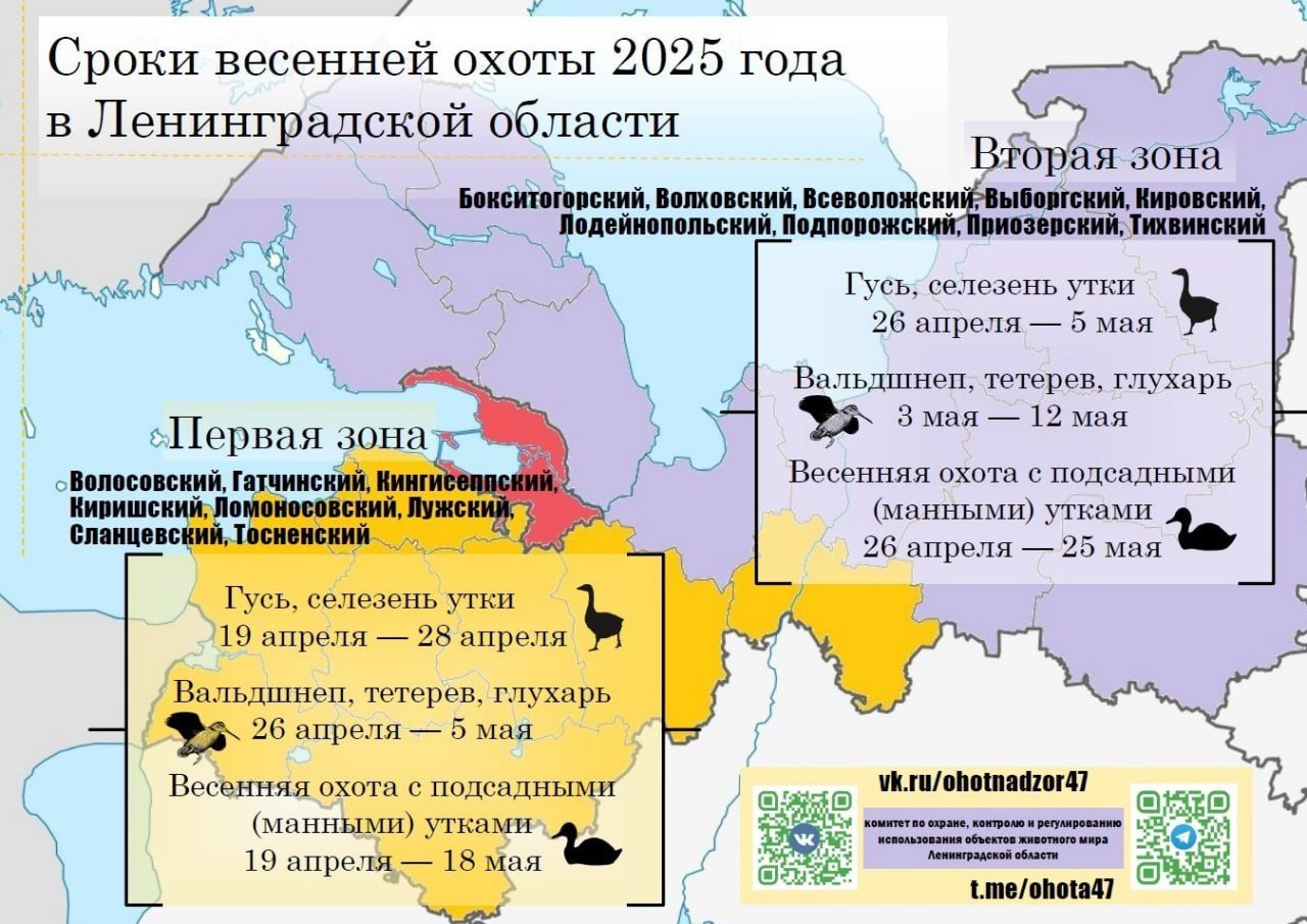 Опубликованы сроки весенней охоты в Ленобласти  Сезон открывается с 19 апреля. Для охоты создается территориальное деление: в первой зоне Гатчинский, Волосовский, Кингисеппский, Киришский, Ломоносовский, Лужский, Сланцевский, Тосненский районы, а во второй - Бокситогорский, Волховский, Всеволожский, Выборгский, Кировский, Лодейнопольский, Подпорожский, Приозерский, Тихвинский.