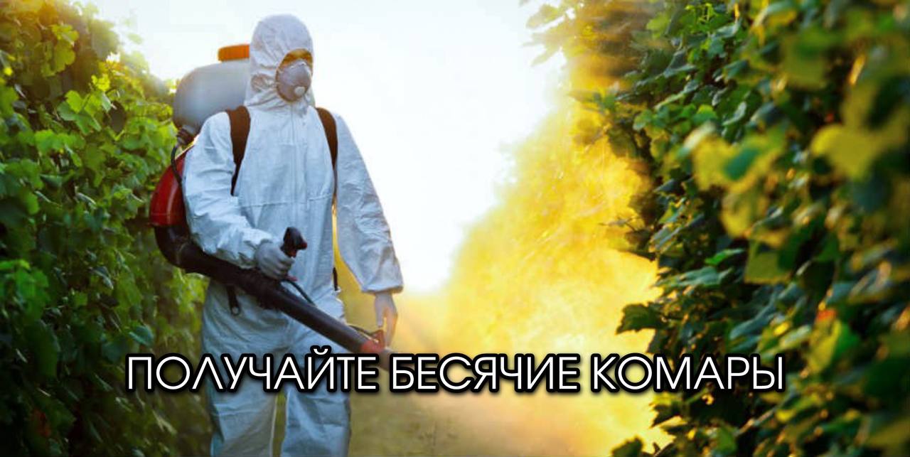 Антикомариную обработку начали в Барнауле. В этом году обработают более 250 общественных мест и озелененных территорий площадью 150 гектар и 10 прибрежных зон площадью 8 гектар. Обработка пройдёт в два этапа, интервал составит около двух недель. Подписаться Прислать новость