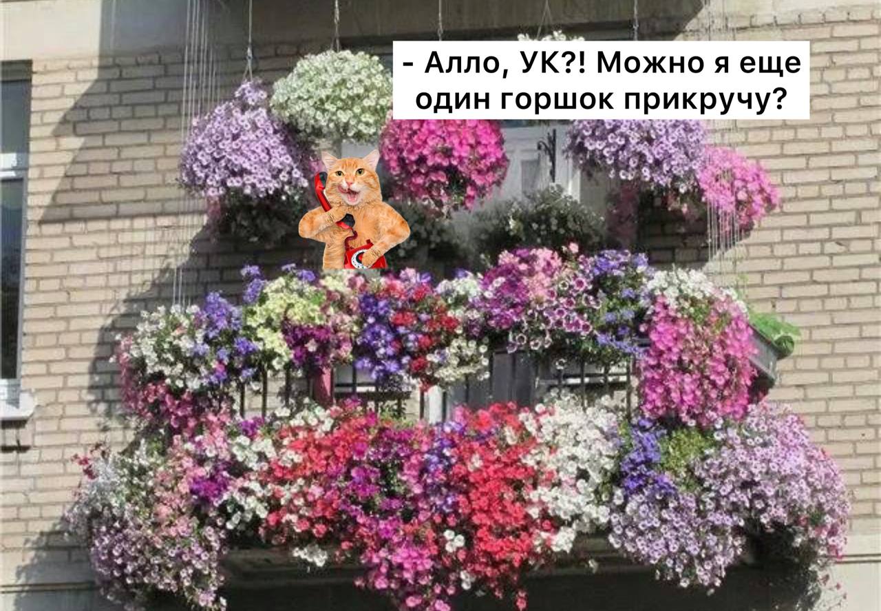 Россия могут оштрафовать за горшки с цветами с внешней стороны балкона, — юристы  Установка горшков или ящиков за границей балкона считается незаконным переустройством и может повлечь наказание за изменение внешнего вида здания.  В Москве за это могут оштрафовать на сумму от 3 до 5 тысяч рублей, в Подмосковье – от 1 до 5 тысяч    Подписаться   Прислать новость