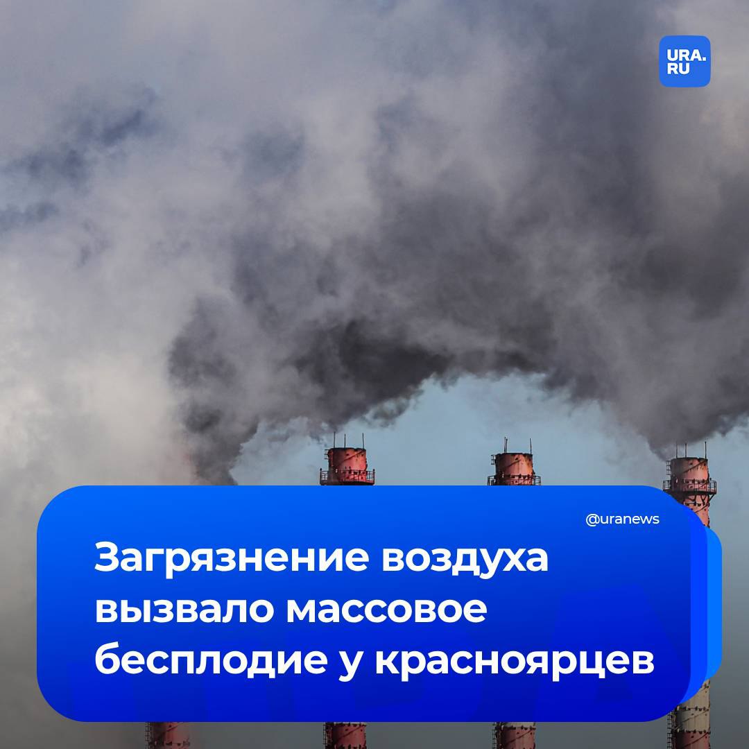 Жители Красноярского края страдают от бесплодия из-за загрязнения воздуха, сообщил нам депутат Красноярского городского совета Вячеслав Дюков.  По данным Роспотребнадзора, в Минусинске уровень вредных примесей в воздухе превышает норму в три раза, что вызывает мутации эмбрионов и их гибель. Более 2500 пар ежегодно обращаются за помощью, излечиться удается лишь 25%, рассказал нам заместитель главного врача краевой красноярской межрайонной клинической больницы №4 Тимур Шагеев.   Качество воздуха в Минусинске крайне низкое, приводящее к высоким уровням онкологии и другим заболеваниям, отметил сопредседатель открытой экологической платформы «Российские Зеленые» Сергей Шахматов. Хотя в рамках проекта «Чистый воздух» удалось уменьшить выбросы, основная проблема остается, рассказал эколог. Шахматов считает, что в регионе необходимо его полностью заменить на более экологичное — газовое или электрическое.