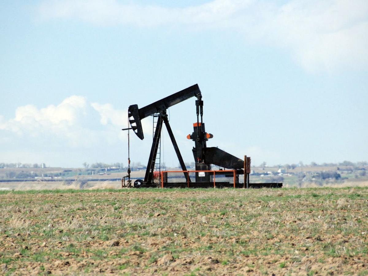 Россия наращивает долю на рынке нефти Индии В марте 2025 года Индия значительно нарастила объём импорта нефти из России — до 36 процентов от общего объёма нефтяных поставок, говорится в майском отчёте ОПЕК Продолжить чтение » Новости экономики и бизнеса. Подписка