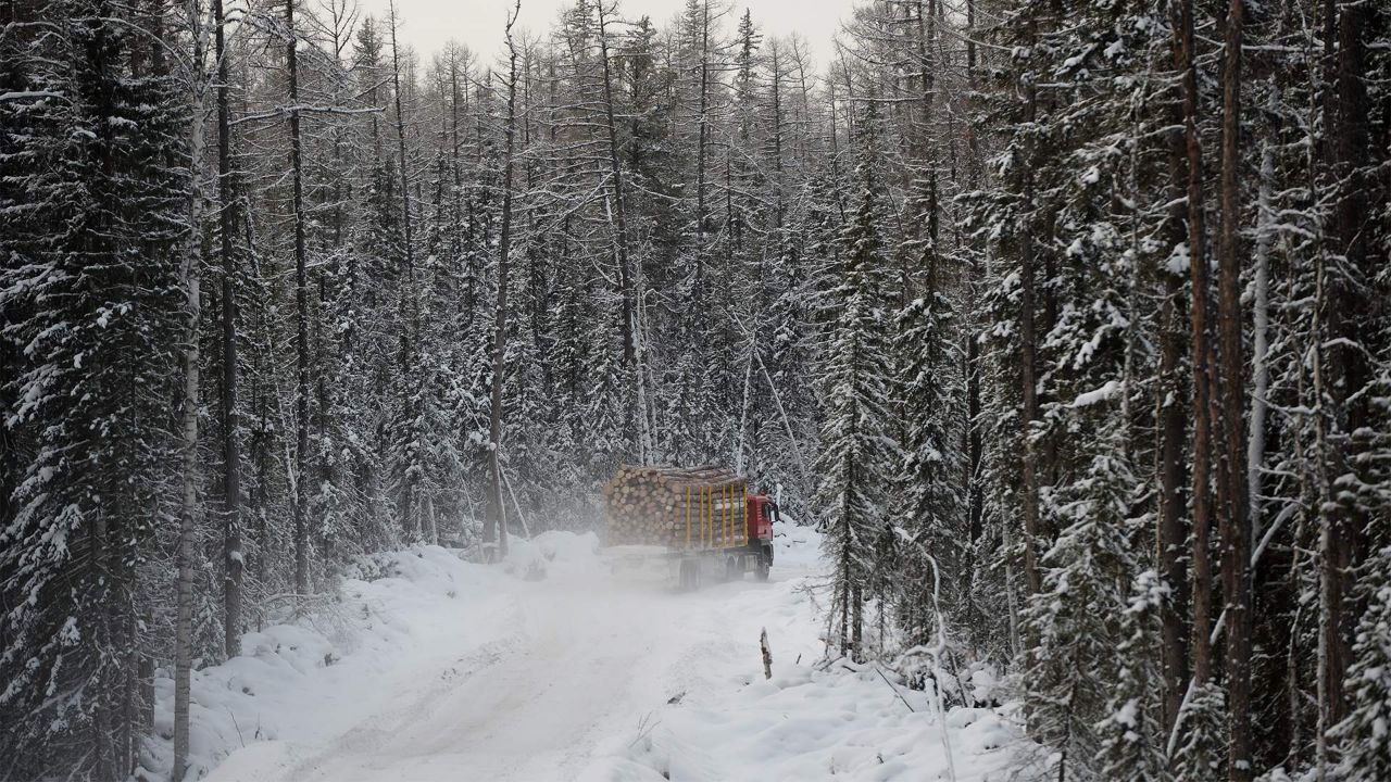 Дороги в российских лесах будут разделены по их предназначению в том числе вывозки заготовленного на них леса появятся привычные для обычных трасс полосы отвода и дорожные знаки Соответствующие поправки разработаны в Минприроды Эксперты и экологи считают что они позволят обеспечить большую доступность лесов однако предупреждают о возможных злоупотреблениях при создании таких дорог