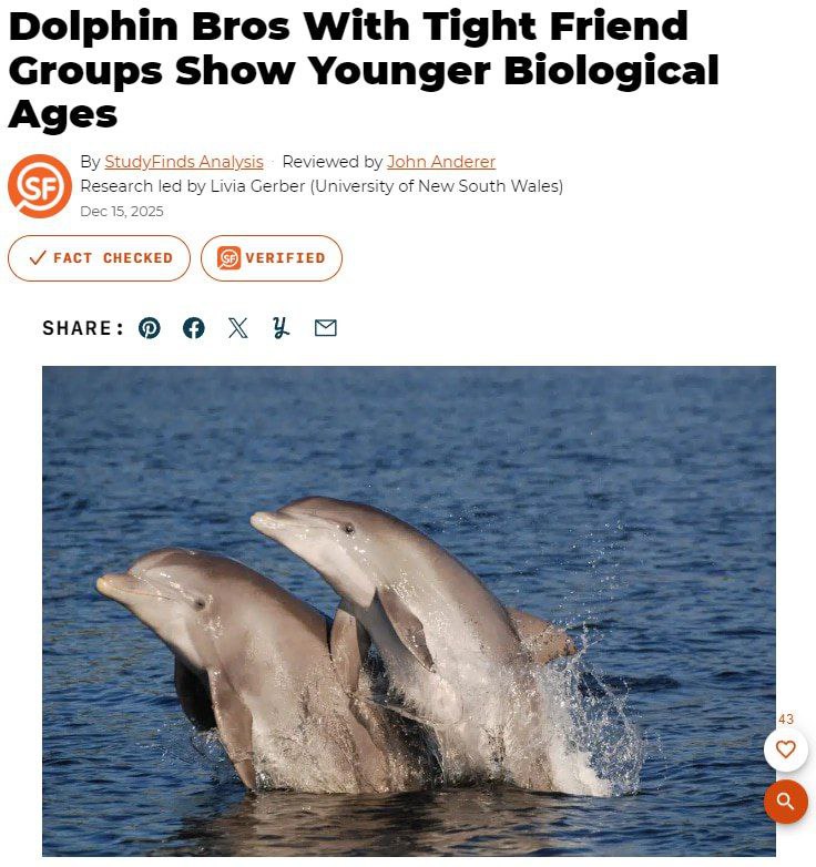 Исследования на дельфинах показали что дружба замедляет старение Учёные выяснили что стабильные социальные связи у млекопитающих способствуют улучшению молекулярного состояния организма благодаря чему они выглядят на 1 7 года биологически моложе В то же время активное участие в шумных компаниях и больших группах оказывается вредным такой образ жизни ведёт к более быстрому износу организма Результаты исследования подчеркивают важность качественных социальных взаимодействий для поддержания здоровья и молодости