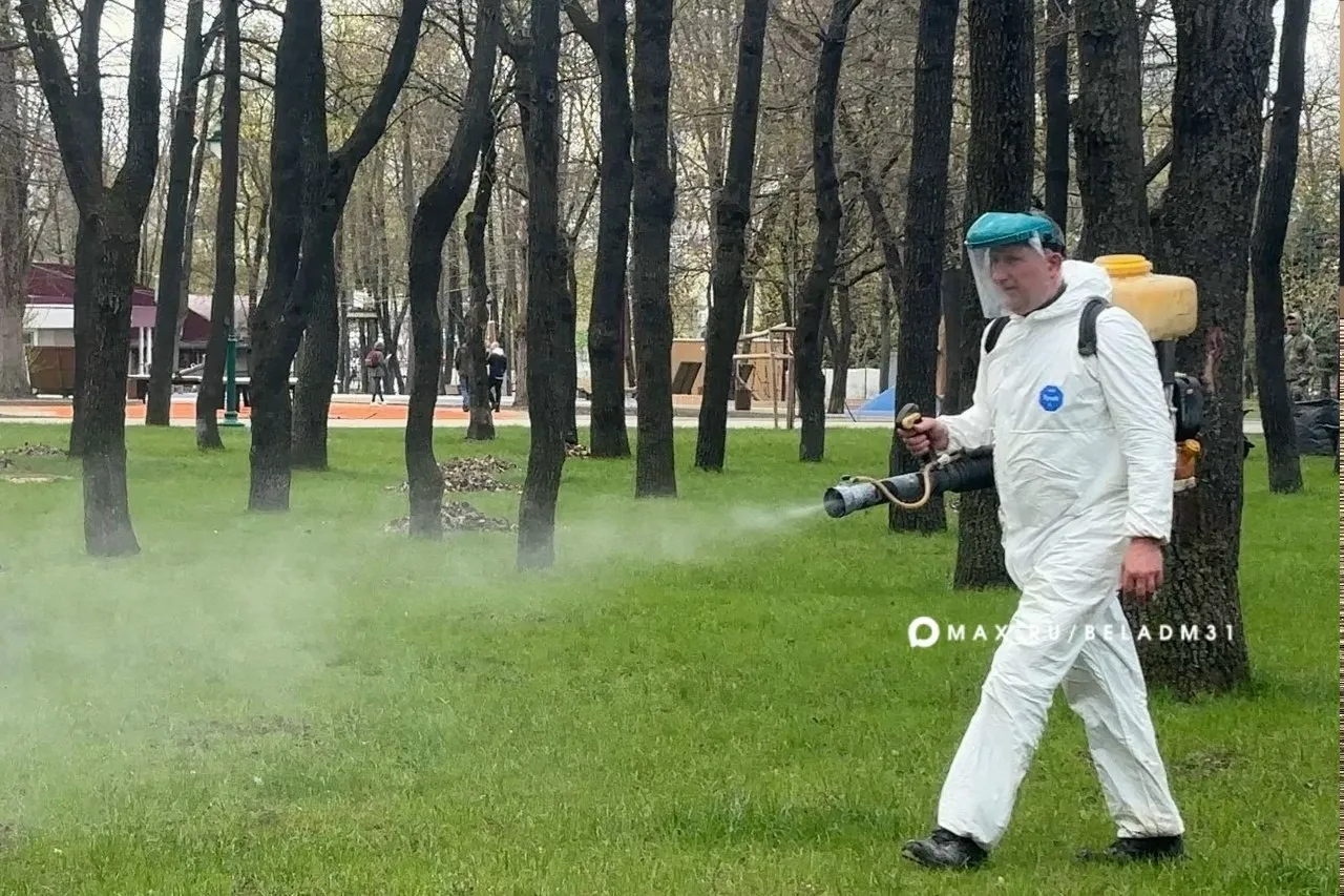 В Белгороде завтра проведут акарицидную обработку общественных пространств Это обязательная мера для защиты от клещей переносчиков опасных заболеваний С 10 до 11 часов работы проведут на стадионе Оскочное переулок 1 й Тополиный с 11 20 до 13 00 в парке Памяти с 13 30 до 15 00 в парке Южный с 15 00 до 18 00 на набережной от Кашарского проезда до Конпрока пляжной зоне на ул Везельской и Корочанской возле диорамы парке Берега Спорт Напоминаем что несмотря на безопасность препарата после обработки на территории лучше не гулять раньше чем через 3 часа
