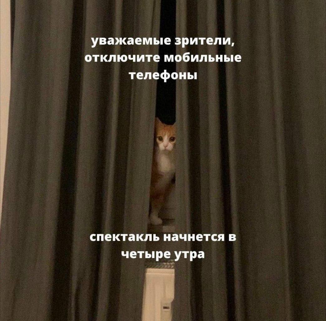 В Публичке пройдет читка пьесы Стоики Это пьеса драматурга Дмитрия Данилова который написал Человек из Подольска и Сережа очень тупой История о матери и дочери и их мужчинах могла бы быть бытовой мелодрамой и рассказом о конфликте поколений если бы не действительность в которой живут герои А живут они в зоне неопределенности вызванной неким глобальным катаклизмом Их будущее туманно а настоящее зыбко Читка состоится силами театра Человек в кубе в субботу 4 октября Начало в 16 00 Вход свободный Регистрация доступна по ссылке enter rostov