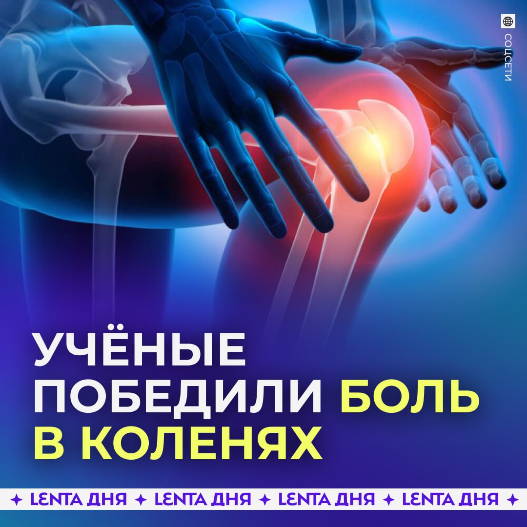 Учёные приблизились к решению проблемы больных коленей Исследователи нашли способ запустить восстановление хряща прямо в суставе Ключевым оказался белок 15 PGDH который мешает регенерации и ускоряет износ тканей После его блокировки одной инъекцией у подопытных животных хрящ начал утолщаться боль снизилась а развитие артроза остановилось Похожий эффект зафиксировали и в экспериментах с человеческими тканями В перспективе лечение коленных суставов может свестись к уколу или даже таблетке   чтобы колени никогда не болели Подпишись на Ленту дня MAX ТГ