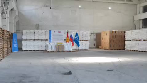 Россия передала Кыргызстану 877 тонн муки в рамках гуманитарной помощи
