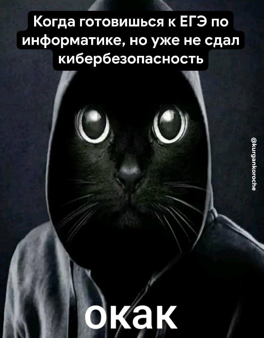 Мошенники взялись за курганских школьников. Кибер-аферисты пользуются тем, что многие сейчас готовятся к ЕГЭ. Они звонят под видом сотрудников Минобрнауки, а затем под угрозой несдачи экзамена, просят продиктовать код из СМС. Так мошенники получают доступ к данным Госуслуг. В МВД предупреждают, что всю актуальную информацию, в том числе о порядке и сдаче государственных экзаменов, можно получить в школе или гимназии. Представители Минобрнауки не будут звонить и требовать данных. Подпишись на «Короче, Курган»