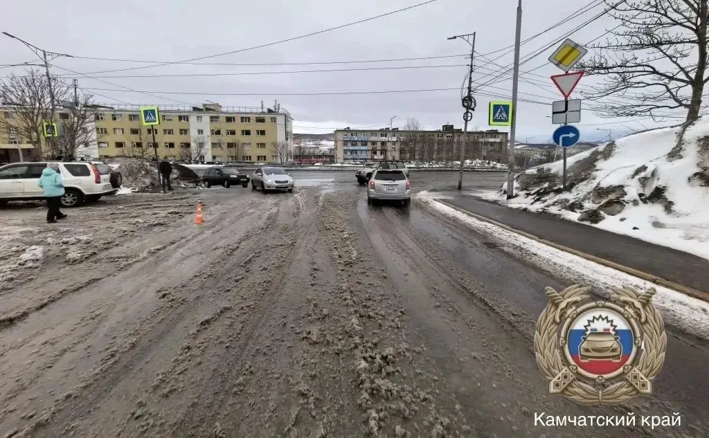 Пожилая женщина попала под колёса самосвала в Петропавловске ДТП произошло на нерегулируемом переходе Дорожное происшествие с участием пешехода произошло 8 апреля в районе дома 1 по проспекту 50 лет Октября 79 летняя женщина оказалась под колёсами ГАЗ САЗ 35121 и попала в больницу рассказали ИА Камчатское время в Госавтоинспекции Подробности по ссылке   kamtime ru article de1aadcd e9cd 41d6 a472 1fc60c7246a1