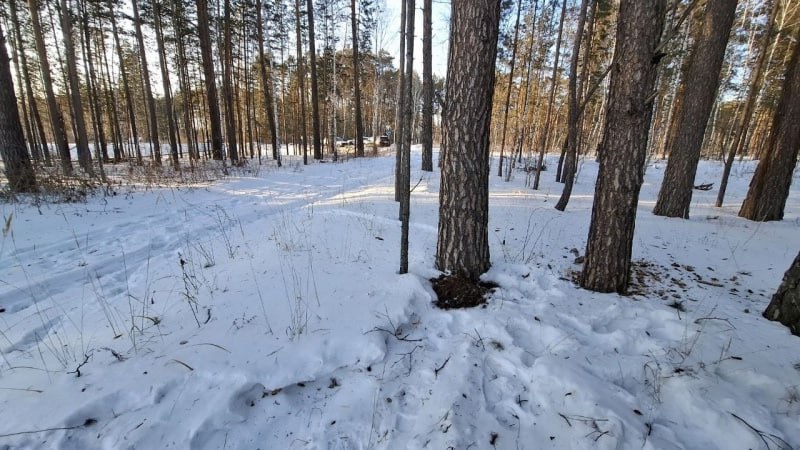 На 152-м километре трассы Курган – Тюмень в Исетском районе инспекторы ГАИ заметили мужчину, который вышел из леса и направился к автомобилю на обочине. Полицейские прошли несколько десятков метров по следам, оставленным гражданином, и обнаружили в конце тропинки под деревом вакуумный пакет с веществом бурого цвета.  Согласно заключению эксперта, в пакете находилось наркотическое средство меткатинон, массой более 489 граммов. 50-летний житель Перми дал признательные показания, пояснив, что решил заработать на распространении наркотиков. Злоумышленник забрал в Свердловской области запрещенное вещество и должен был организовать тайник в указанном куратором месте.  Теперь его ждет суд, максимально возможное наказание – лишение свободы на 15 лет.