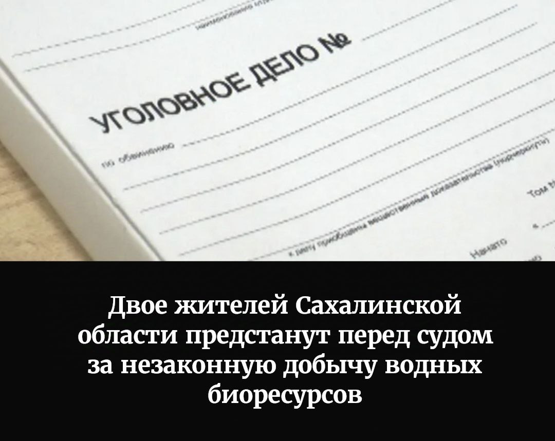 Корсаковской городской прокуратурой утверждён обвинительный акт в отношении двух жителей Сахалинской области, обвиняемых в незаконной добыче водных биологических ресурсов, совершённой с применением самоходного транспортного плавающего средства, в местах нереста, на особо охраняемой природной территории, группой лиц по предварительному сговору, с причинением особо крупного ущерба  ч. 3 ст. 256 УК РФ .   Органом дознания установлено, что в августе 2024 года двое обвиняемых с использованием резиновой надувной лодки незаконно добыли в акватории озера Буссе 581 экземпляр трепанга дальневосточного.   В результате задержания указанных лиц сотрудниками ПУ ФСБ России по Сахалинской области ущерб от незаконной добычи водных биологических ресурсов в размере 792 тыс. руб. предотвращён, путём выпуска трепанга дальневосточного в естественную среду обитания.   Обвиняемые вину в совершённом преступлении признали в полном объёме.   Уголовное дело направлено для рассмотрения в Корсаковский городской суд.   За совершение данного преступления предусмотрено максимальное наказание в виде лишения свободы на срок до 5 лет.