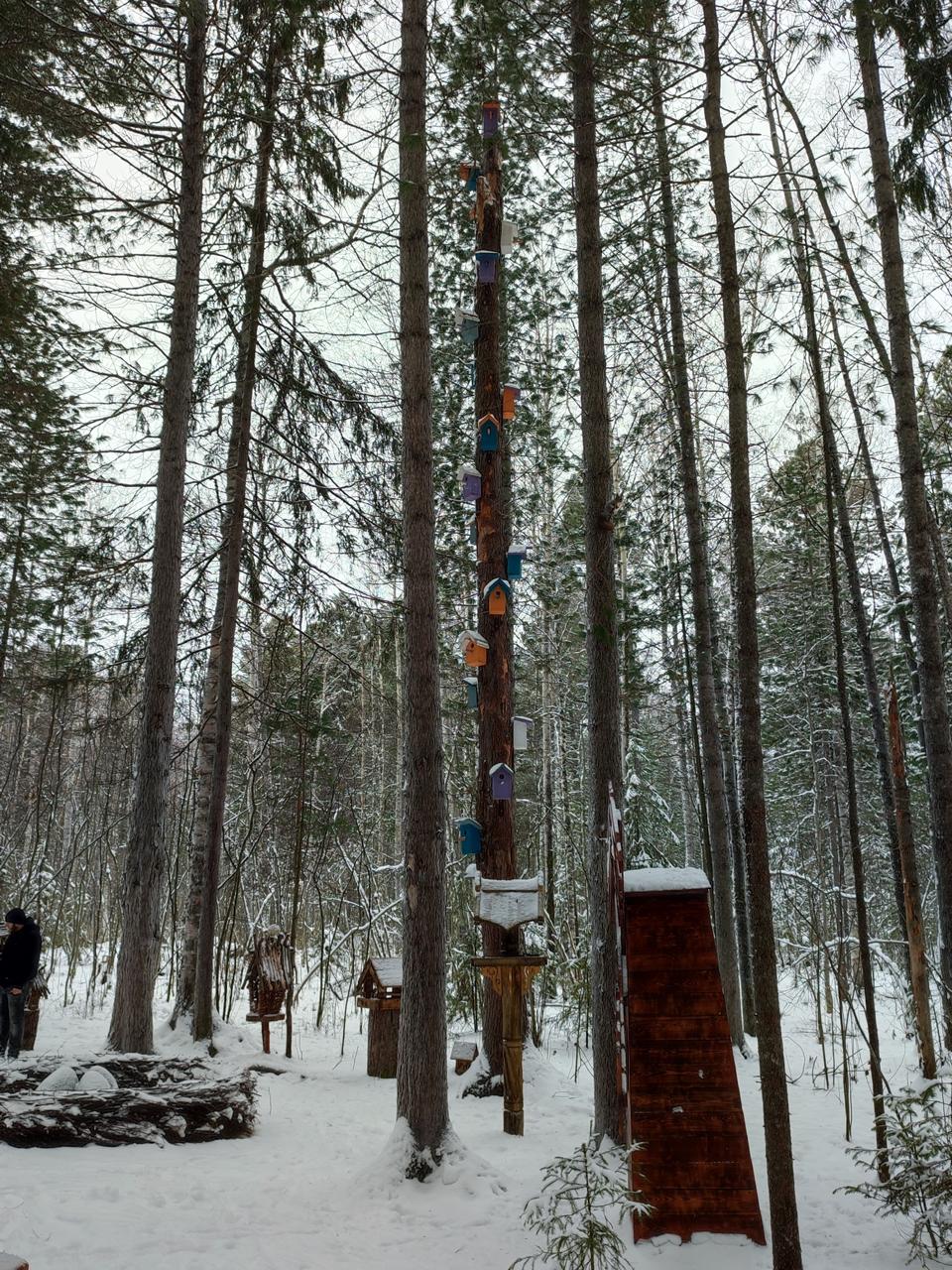 Главным городом парков и смысловых пространств может стать Нижневартовск Наш город вошел в шорт лист премии Роскачества Туристические города в номинации Город паркового туризма и смысловых пространств Кроме Нижневартовска в финал Всеройссийской туристической премии вышли Ханты Мансийск и Мегион nv86 me vk com nv86ru ok ru nv86 ru max ru nv86ru