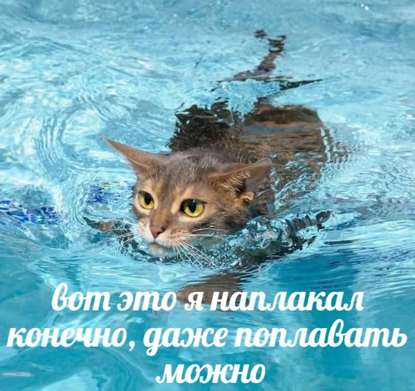 8 ноября на Малых Голубых озерах пройдут занятия по закаливанию Участникам расскажут как безопасно проводить холодные процедуры зимой и помогут освоить практику inde io news vozmozhnost zakalitsya na malyh golubyh ozerah