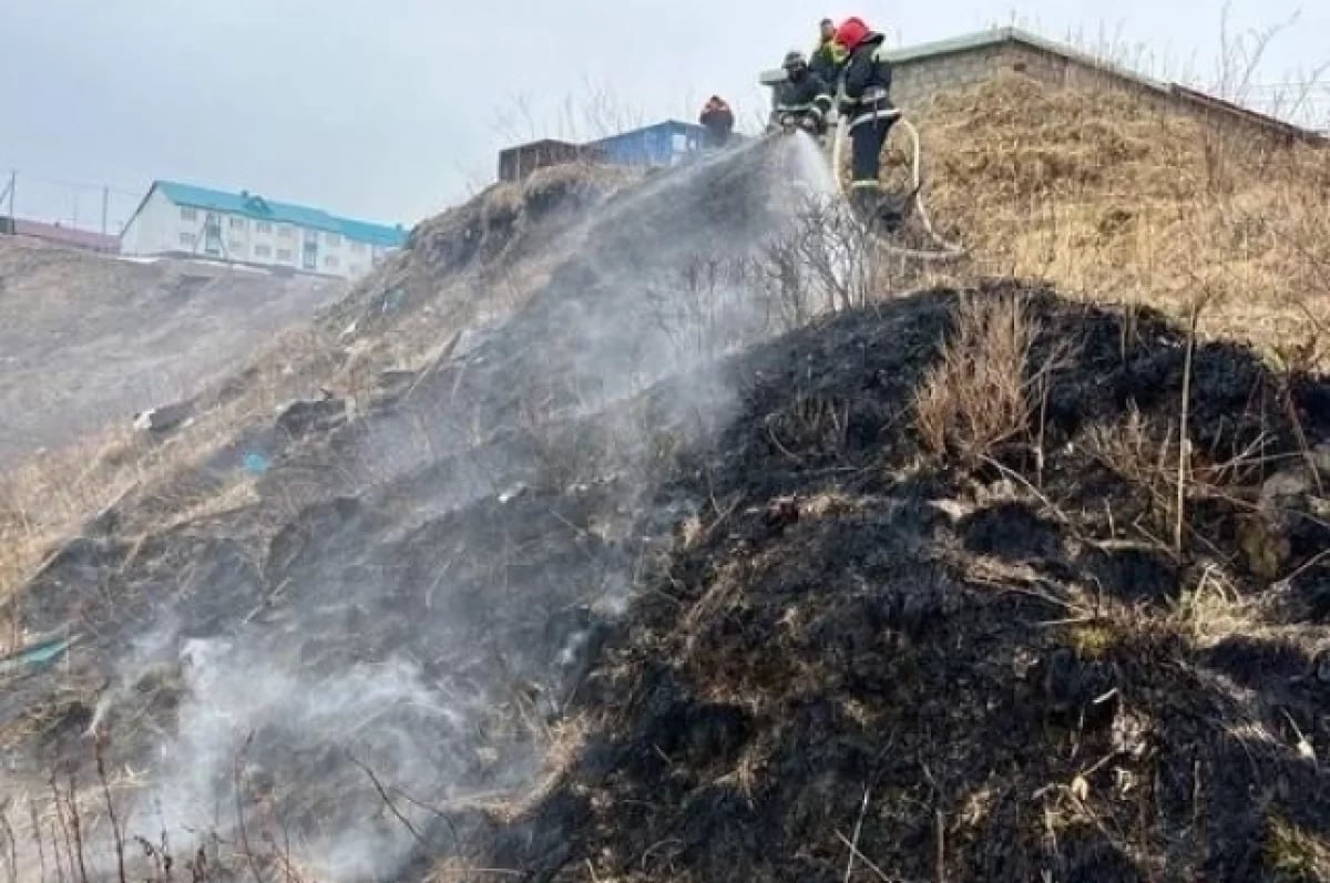 На юге Сахалина успешно потушили гектар пылающего бамбука  24 сентября в 16:41 в диспетчерскую Невельского пожарного отряда поступило сообщение о возгорании сухой травы на 16 км автодороги Невельск — Шебунино.  Первый пожарный расчет прибыл на место через 9 минут. К моменту их прибытия огонь охватил бамбук на склоне сопки, площадь возгорания составила 10 000 кв. метров.  Пожар был локализован в 18:03, а в 18:10 полностью ликвидирован.   В тушении были задействованы пять человек личного состава и одна единица техники пожарно-спасательной службы Сахалинской области, а также пять сотрудников и одна единица техники лесопожарной станции. Пострадавших и погибших нет. Причины пожара устанавливаются  — уточнили в агентстве по делам ГО, ЧС и ПБ Сахалинской области.  #НовостиСахалина #ЧП  Источник:      -Сахалин