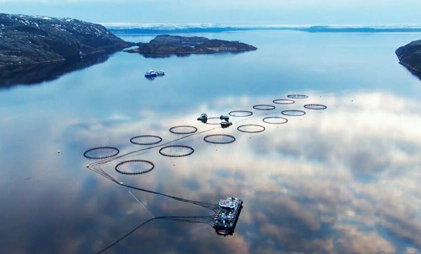 В России могут создать реестр недобросовестных участников рыбоводных аукционов Всероссийская ассоциация рыбопромышленников ВАРПЭ предложила первому зампреду Совета Федерации Андрею Яцкину исключить недобросовестные компании из аукционов на рыбоводные участки ВАРПЭ предлагает создать реестр таких участников чтобы предотвратить срывы торгов В 2023 2025 гг в Крыму 20 аукционов завершились повторными торгами что связано с действиями недобросовестных игроков Они стремятся сорвать торги повышая цену лота с 3000 до 3 млн рублей что мешает участию рядовых предпринимателей Росрыболовство поддерживает идею реестра чтобы улучшить конкуренцию в аквакультуре Однако эксперты считают что проблемы сектора не ограничиваются только недобросовестными участниками многие предприятия сталкиваются с низкой рентабельностью и дефицитом качественных участков из за недостатка инфраструктуры и биологических ограничений fishto biz новости