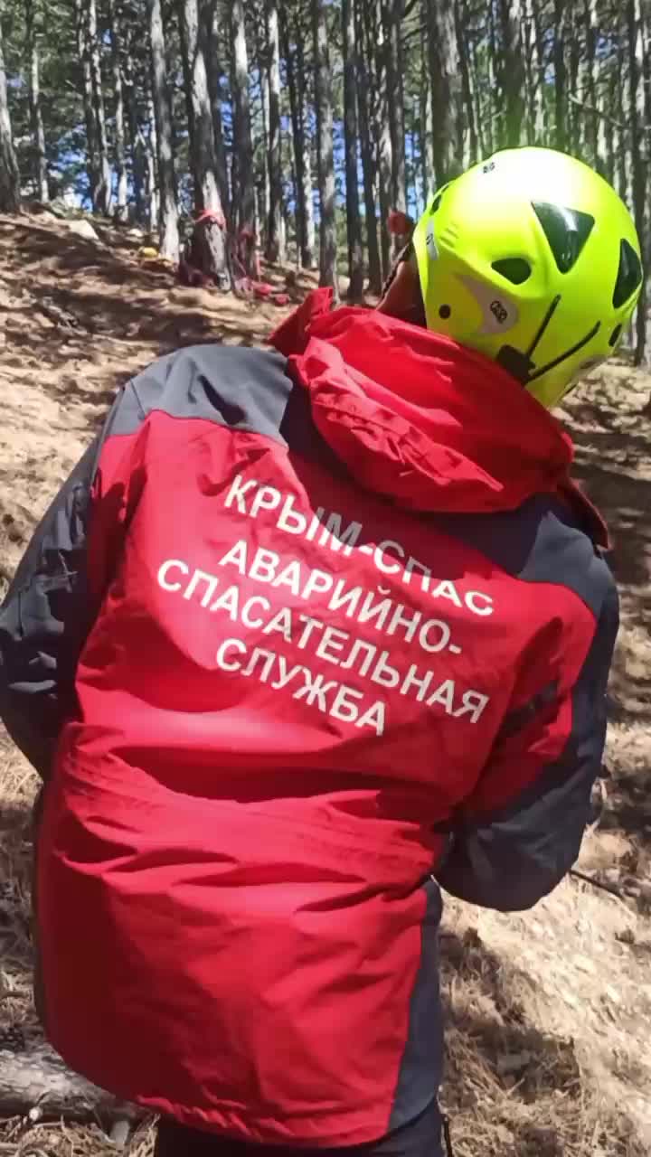 В Сунском районе перевернулся молоковоз, водитель спасён