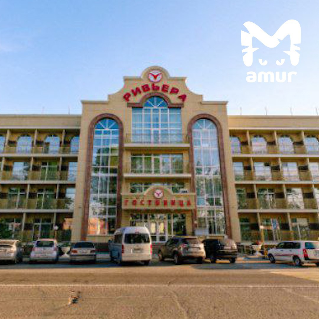 Гостиница на Заимке Плюснина закрылась из за делёжки бизнеса Сотрудники намерены обращаться в полицию Об этом рассказали работники Ривьеры Говорят собственник расторг договор аренды внезапно и в один момент они не смогли попасть в помещения На местах остались телефоны вещи оборудование и куча важных документов Люди планируют обращаться в полицию Раньше весь туристический комплекс принадлежал покойному олигарху Игорю Неклюдову Сейчас скорее всего за передел взялась его семья Подписывайся на Amur Mash