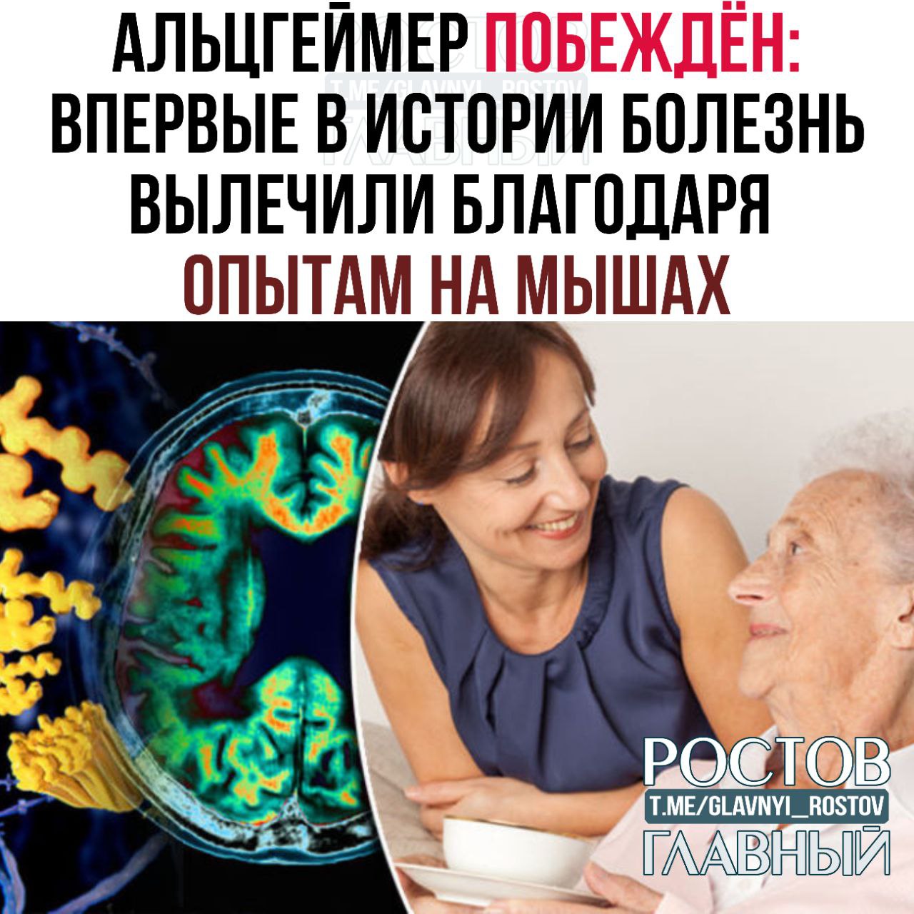 Альцгеймер побеждён впервые в истории болезнь вылечили благодаря опытам на мышах Учёным удалось не просто замедлить деменцию а откатить её у мышей с симптомами болезни полностью восстановились память и мышление Спустя целых 100 лет экспериментов исследователи выяснили что ключевая проблема дефицит молекулы NAD которая отвечает за энергию в клетках мозга Учёные применили препарат поддерживающий её уровень и это сработало После терапии у мышей исчезло воспаление восстановились нейронные связи и начали расти новые нервные клетки При этом метод сработал сразу на нескольких формах болезни Следующий шаг испытания на людях glavnyi rostov Присылайте ваши фото видео новости мне в лс glavnyi admin  РГ в МАХ