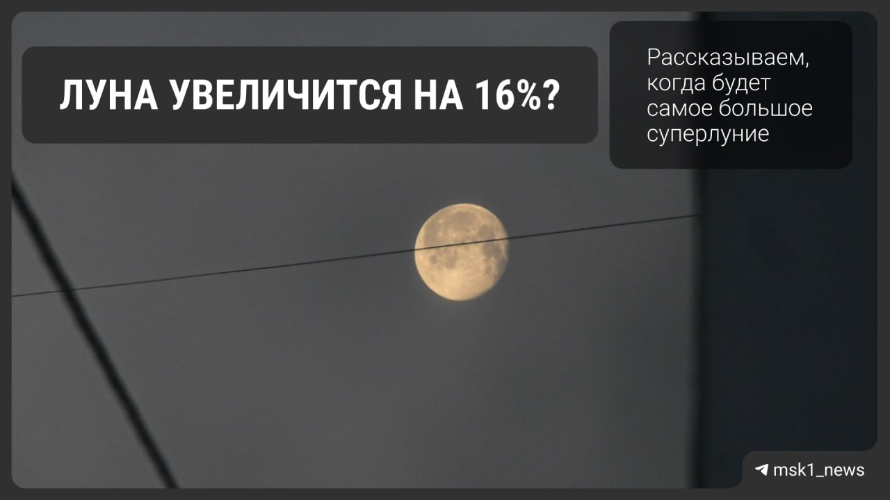 Охотничья луна взойдёт на небосводе 5 ноября Земной спутник будет выглядеть почти на 8 больше и на 16 ярче обычного Такое явление называют суперлунием полнолунием которое происходит когда Луна находится вблизи перигея ближайшей к Земле точки своей орбиты В этот период Луна выглядит немного больше и ярче на небе К слову в этом году это будет самое большое суперлуние MSK1 теперь в MAX Прислать новость