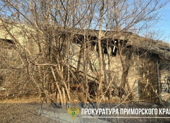 Уссурийский суд решит судьбу владелицы кочегарки, где провалилась девочка 14-летний подросток упал с высоты второго этажа Читать подробнее на сайте...