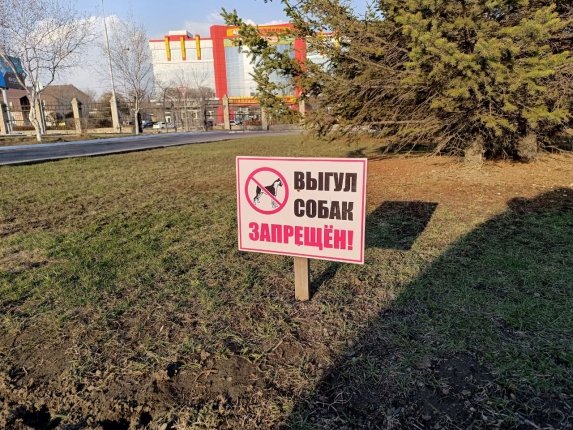 Оставленные на улице собачьи экскременты дорого обошлись жителям Уссурийска Оштрафованы горожане, не убирающие за своими питомцами Читать подробнее на сайте...