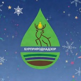 Аватар Телеграм канала: Бурприроднадзор