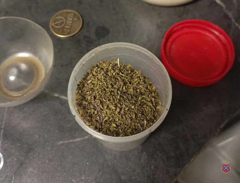 Сотрудники подразделения по контролю за оборотом наркотиков Межмуниципального отдела МВД России Камышинский задержали 42 летнего местного жителя подозреваемого в незаконном обороте наркотиков В ходе досмотровых мероприятий по месту жительства фигуранта полицейские обнаружили и изъяли части растения которые согласно заключению экспертов являются наркотическим средством каннабис Со слов задержанного он нарвал дикорастущее наркосодержащее растение и хранил у себя дома с целью личного потребления В отношении задержанного возбуждено уголовное дело по признакам преступления предусмотренного ч 1 ст 228 УК РФ Незаконное хранение наркотического средства