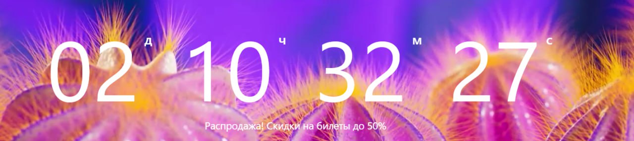 Распродажа S7  Авиакомпания S7 объявила распродажу! До 13 сентября включительно будут действовать скидки до 50% на перелеты туда-обратно по РФ и в некоторые другие страны.   Скидки действуют на билеты с датой вылета 16 сентября 2024 года и позднее. Подробнее об условиях акции и направлениях полетов можно прочитать здесь.