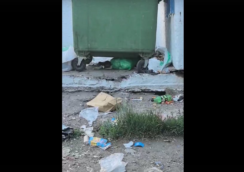 Крысиный террор в Чкаловске: омичи требуют срочно решить проблему с мусором. Жители улицы Индустриальной в Омске столкнулись с настоящей экологической катастрофой у себя во дворе. Мусорная площадка между домами №2 и №3 превратилась в зону бедствия — полчища крыс, горы разбросанных отходов и удушающий запах стали невыносимыми для местных жителей. «С детьми не пройти! Крыс не травят, ни УК, ни администрация не реагируют. Мы не можем даже нормально мусор выбросить — все завалено посторонними вещами!» — возмущается одна из жительниц в паблике «Омск Live». Ситуация усугубляется тем, что эта проблема повторяется из года в год, а никаких действий от ответственных служб так и не последовало. Омичи требуют не только от властей навести порядок, но и призывают соседей соблюдать элементарные санитарные нормы. Написать в редакцию можно здесь.