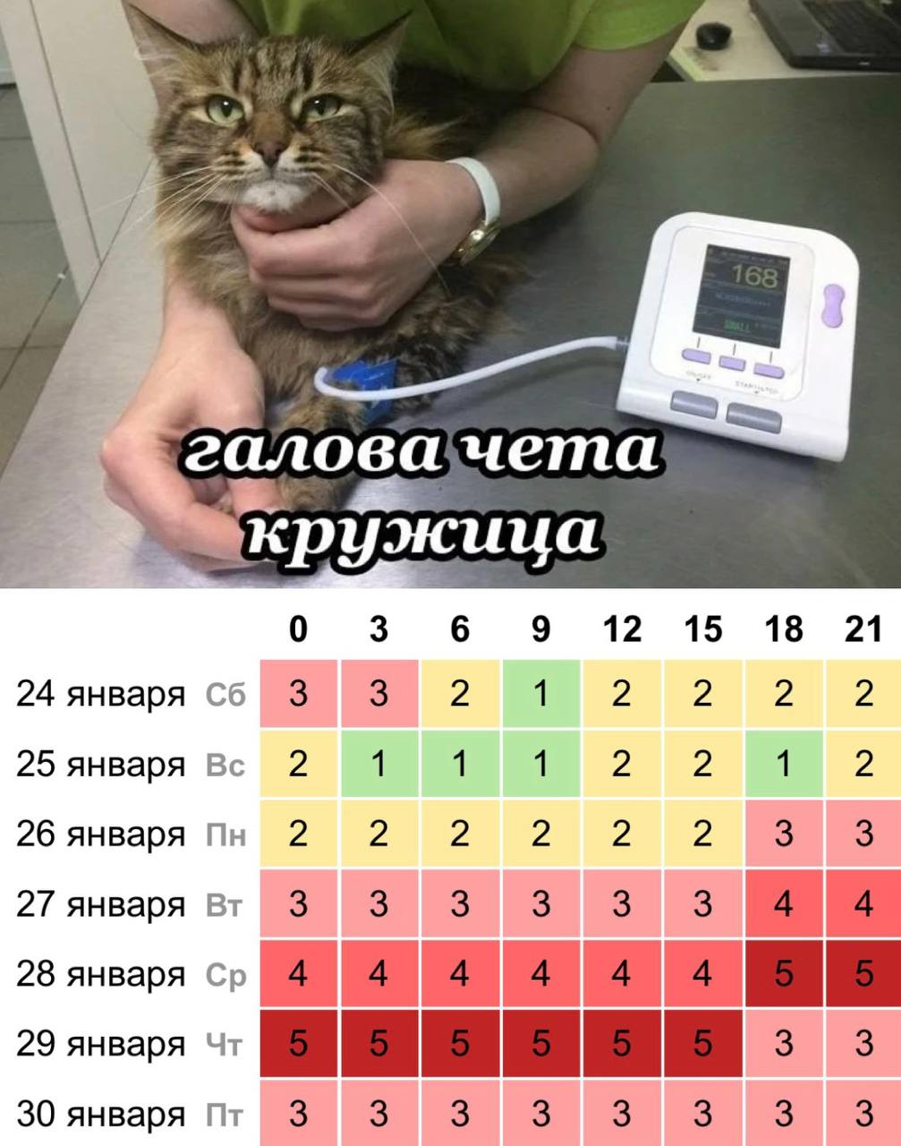 Сильная магнитная буря надвигается на Тагил на следующей неделе активность достигнет 5 баллов Первые возмущения уже вечером в понедельник В течение следующих трех дней буря будет усиливаться пик активности ожидается вечером среды и продлится весь следующий день достигая 5 баллов После этого геомагнитная активность постепенно пойдёт на спад согласно данным сервиса Time in Подписаться   Дать буст