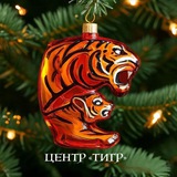 Аватар Телеграм канала: Центр «Тигр»