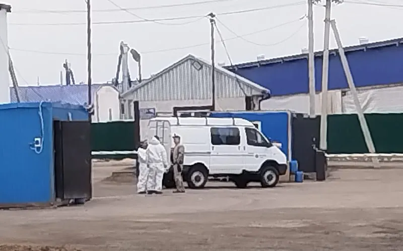 Ограничения вводят в Кузбассе из за болезни скота Блокпосты выставили около агрокомплекса АО Ваганово в Промышленновском округе Кемеровской области сообщают Sreda42 и Ngs42 Кроме того по сведениям Ngs42 оцеплена одна из ферм Несколько жителей заявили изданию что на территории Ваганово второй день якобы идёт массовый забой дойного стада сообщается о 2 тыс коров Управление ветеринарии Кузбасса подтвердило ограничения в Ваганово На предприятии в Промышленновском округе усилен санитарный режим организовано дополнительное обследование поголовья проводится постоянный мониторинг эпизоотической и санитарной обстановки В АО Ваганово рассказали что блокпосты выставили по рекомендации управления ветеринарии но предприятие работает в штатном режиме Компания входит в Сибирский деловой союз СДС Михаила Федяева СДС называет своё аграрное подразделение крупнейшим сельхозпроизводителем Кемеровской области АО Ваганово возглавляет депутат заксобрания Кузбасса Роман Майер Единая Россия Официально название заболевания скота не уточняется Sreda42 утверждает что речь идёт о пастереллёзе Напомним что в Новосибирской области под предлогом пастереллёза был массово забит скот в том числе в частных подворьях В суде по одному из исков властей к фермерам выяснилось что в документах о карантине речь шла о ящуре который относится к особо опасным заболеваниям животных Накануне власти Хакасии объявили о поголовной вакцинации скота от особо опасного заболевания О пастереллёзе также было известно в регионах Алтая Омской области и Забайкалье В апреле Китай сообщил о вспышке ящура серотипа SAT1 в том числе в провинции Синьцзян которая граничит с Республикой Алтай фото sreda42 pro Подписаться Прислать новость Помочь бустами