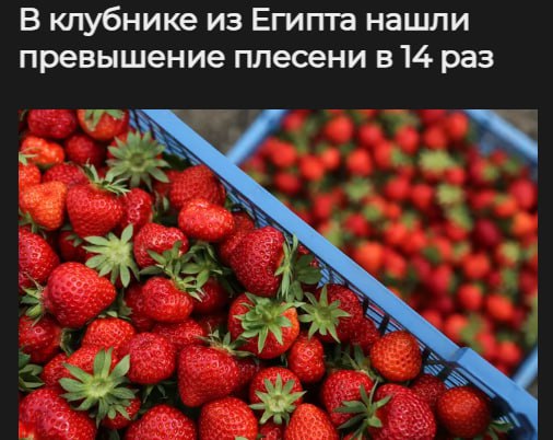 В египетской клубнике выявили плесень, превышающую норму в 14 раз. Такая ягода может вызвать аллергию, отравление и проблемы с желудком. Российские эксперты обнаружили в замороженной партии избыток плесени и дрожжей, выделяющих опасные токсины — всему виной антисанитария и неправильное хранение. Египет — один из крупнейших поставщиков клубники в Россию. Наш второй канал РУПОСТ 18+ Подписывайтесь.