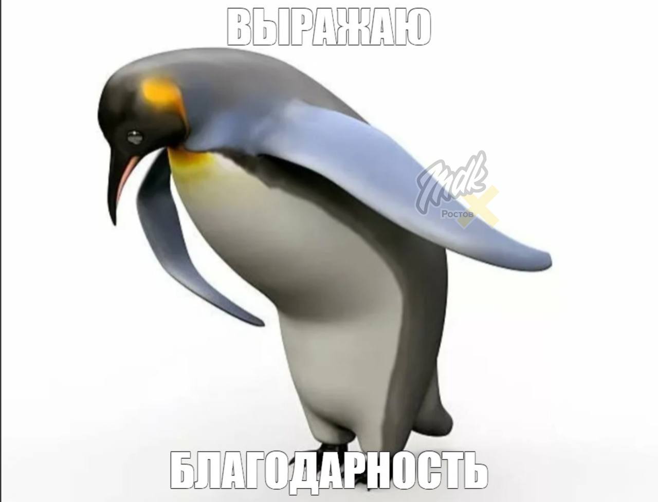 В Ростове перенесли отключение холодной воды из-за жары Плановое масштабное отключение, которое должно было пройти 30–31 июля, решили отложить, сообщил мэр Александр Скрябин. Новые даты пока не объявлены. Воду отрубят позже, когда спадёт зной. Живите пока MDK Ростов