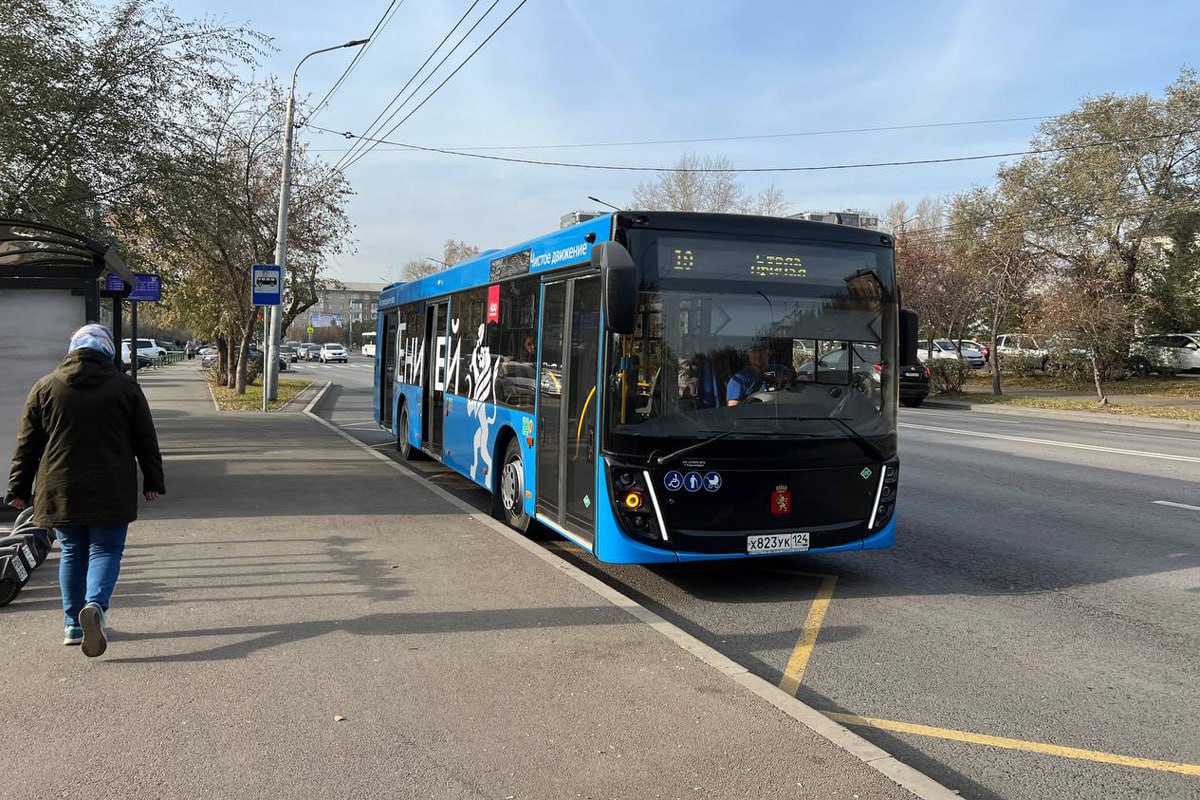 На маршруты 55 и 31 в Красноярске сегодня выйдут новые газомоторные автобусы Транспорт легко узнать по кузову синего цвета Всего сейчас в столице края курсирует 76 таких автобусов До конца года ждут еще 150 машин Их закупкой занимаются по инициативе губернатора края Михаила Котюкова в рамках подготовки к 400 летию Красноярска Весь транспорт оснащен системой климат контроля кондиционерами видеокамерами отопительными приборами он адаптирован для обслуживания маломобильных горожан для слабовидящих работает система Говорящий город Сборкой занимались на Минском автомобильном заводе В следующем году в регионе планируют закупить еще 155 автобусов на газомоторном топливе