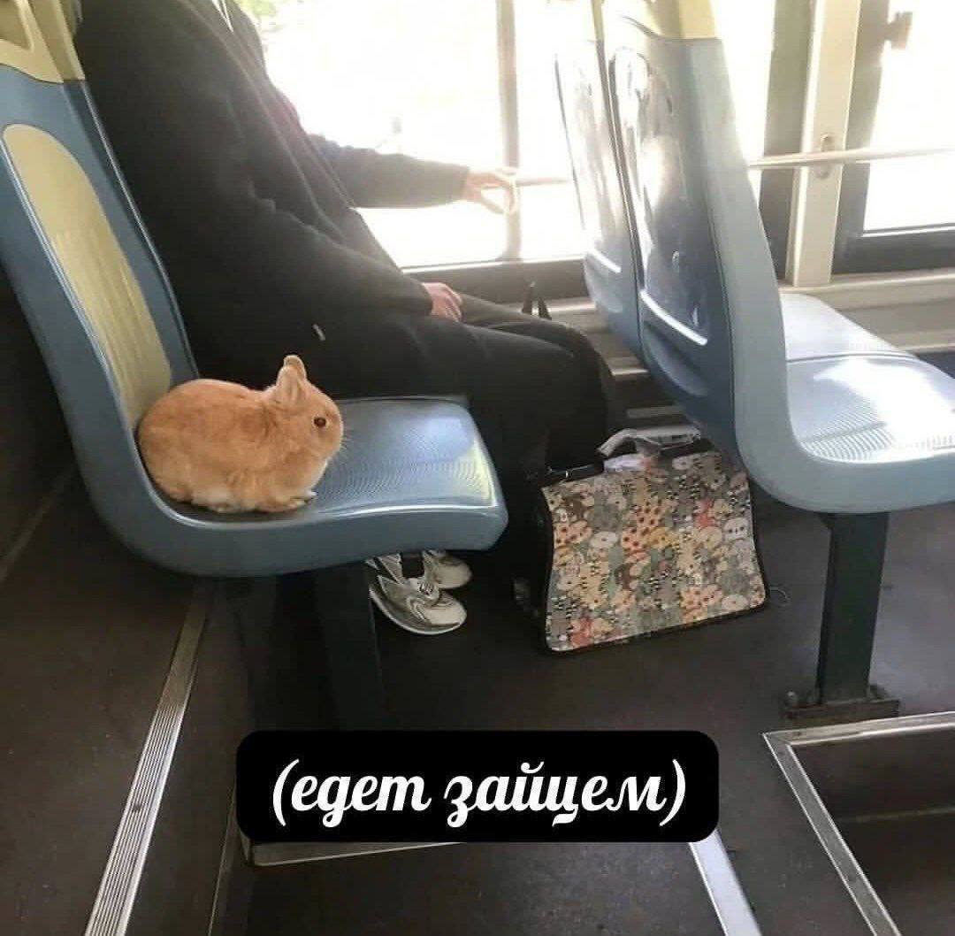 В казанских автобусах запустили пилотный проект по оплате проезда через QR код и геолокацию Его тестируют на маршрутах 62 72 и 34   entermedia io news v kazani testiruyut oplatu proezda v avtobuse po qr kodu i geolokatsii