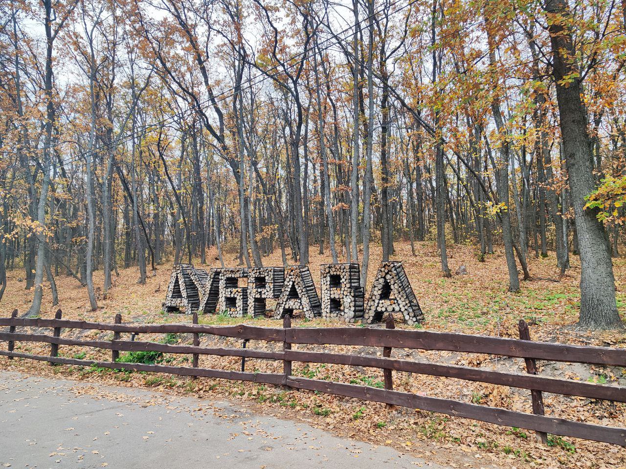 На всей территории центра лыжной подготовки Дубрава в Новой Усмани заработала сеть Об этом сообщили в пресс службе МТС Раньше дубы мешали сигналам от вышек сотовой связи Теперь телекомоборудование появилось прямо на территории лесопарка Это позволит лучше координировать работу служб и участников обеспечивать безопасность при проведении тренировок и массовых спортивных мероприятий Современные технологии связи уже стали неотъемлемой частью спортивного процесса Многие используют умные устройства для отслеживания своих результатов другие для повышения эффективности тренировок консультируются с тренером онлайн а большинство во время занятий просто слушают любимую музыку отметил директор филиала МТС в Воронежской области Василий Голуб В Дубраве каждый день занимаются сотни жителей села и воронежцы в основном с левого берега города На территории спортобъекта проводятся регулярные детские и взрослые тренировки по лыжным гонкам лыжероллерам легкой атлетике и лапте Каждый год здесь проходят всероссийские и областные соревнования Фото МТС