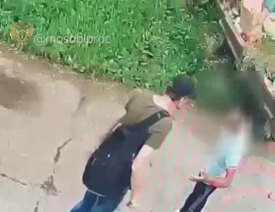 Условный срок мигранту за убийство глухонемого в Щелково