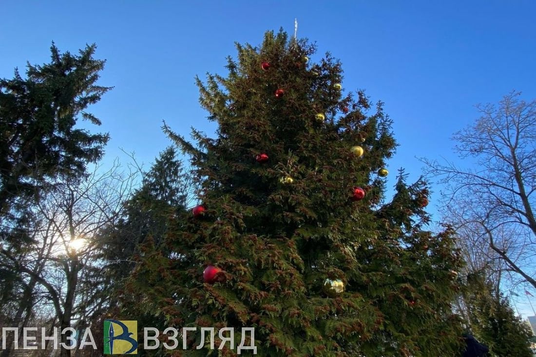 Новогоднюю иллюминацию в Пензе включат 15 декабря   Исполняющий обязанности главы города Пензы Олег Денисов подписал постановление о проведении новогодних и рождественских праздников 2024-2025 годов.  В документе указано, что праздничные и спортивно-оздоровительные мероприятия в областном центре необходимо организовать в период с 15 декабря по 14 января.  До 15 декабря АО «Пензенская горэлектросеть» обязано совместно с районными администрациями организовать проверку и ремонт уличной иллюминации, а включена она будет в городе на период с 15 декабря по 14 января.  Различным ведомствам Олег Денисов поручил определить места установки новогодних елок, а также обеспечить новогоднее оформление организаций и предприятий, торговых центров и улиц Пензы.    -Взгляд   Прислать новостей