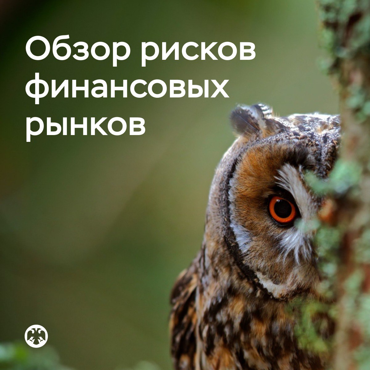 #ОбзорРисков В мае рубль вновь укрепился, акции продолжили снижаться    Рубль рос относительно основных иностранных валют шесть месяцев подряд. Этому способствовала привлекательность российских активов для граждан и компаний в условиях жесткой денежно-кредитной политики. Курс доллара США за месяц снизился на 3,6%, юаня — на 2,8%, обновив минимумы за последние два года.    Цены на рынке акций на фоне геополитической неопределенности преимущественно продолжили снижаться, по итогам месяца индекс МосБиржи скорректировался на 3,1%. В условиях замедления инфляции и ожиданий рынка по снижению ключевой ставки доходности ОФЗ и корпоративных облигаций снизились.  Подробнее читайте в новом выпуске «Обзора рисков финансовых рынков» ↗