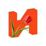 ИНСИТИ девелопмент
