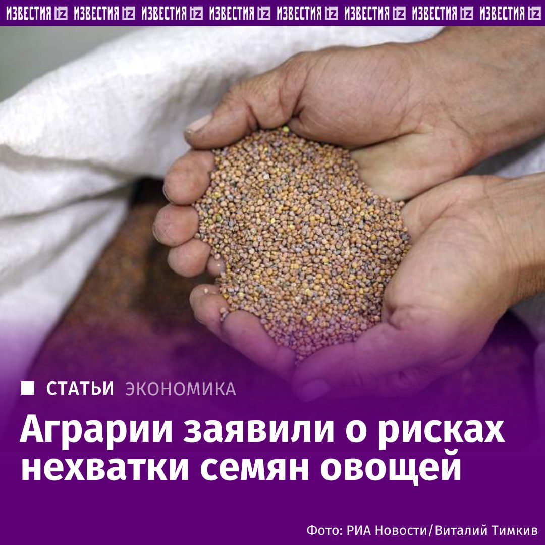 Какие овощи могут пропасть из магазинов Сельхозпроизводители опасаются дефицита семян овощей в России на фоне введения запрета на их ввоз из Нидерландов. Об этом "Известиям" рассказали представители нескольких крупных отраслевых объединений. "Мы не представляем, каким образом возможно оперативно импортозаместить всю овощную группу. Если прибегать к таким мерам, то делать это следует постепенно, без ущерба для производителей и российского продовольственного обеспечения", — пояснил "Известиям" исполнительный директор ассоциации "Народный фермер" Станислав Санкеев. Подробнее читайте в эксклюзивном материале "Известий". Отправить новость