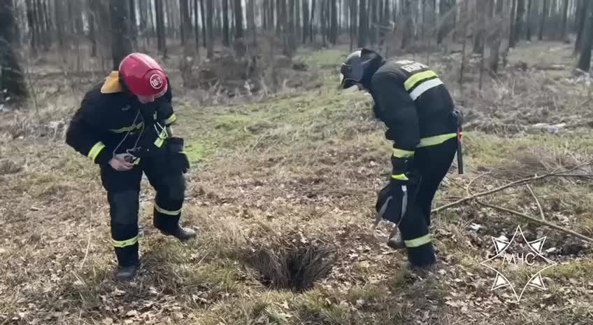 Спасение собаки из колодца в Калинковичах