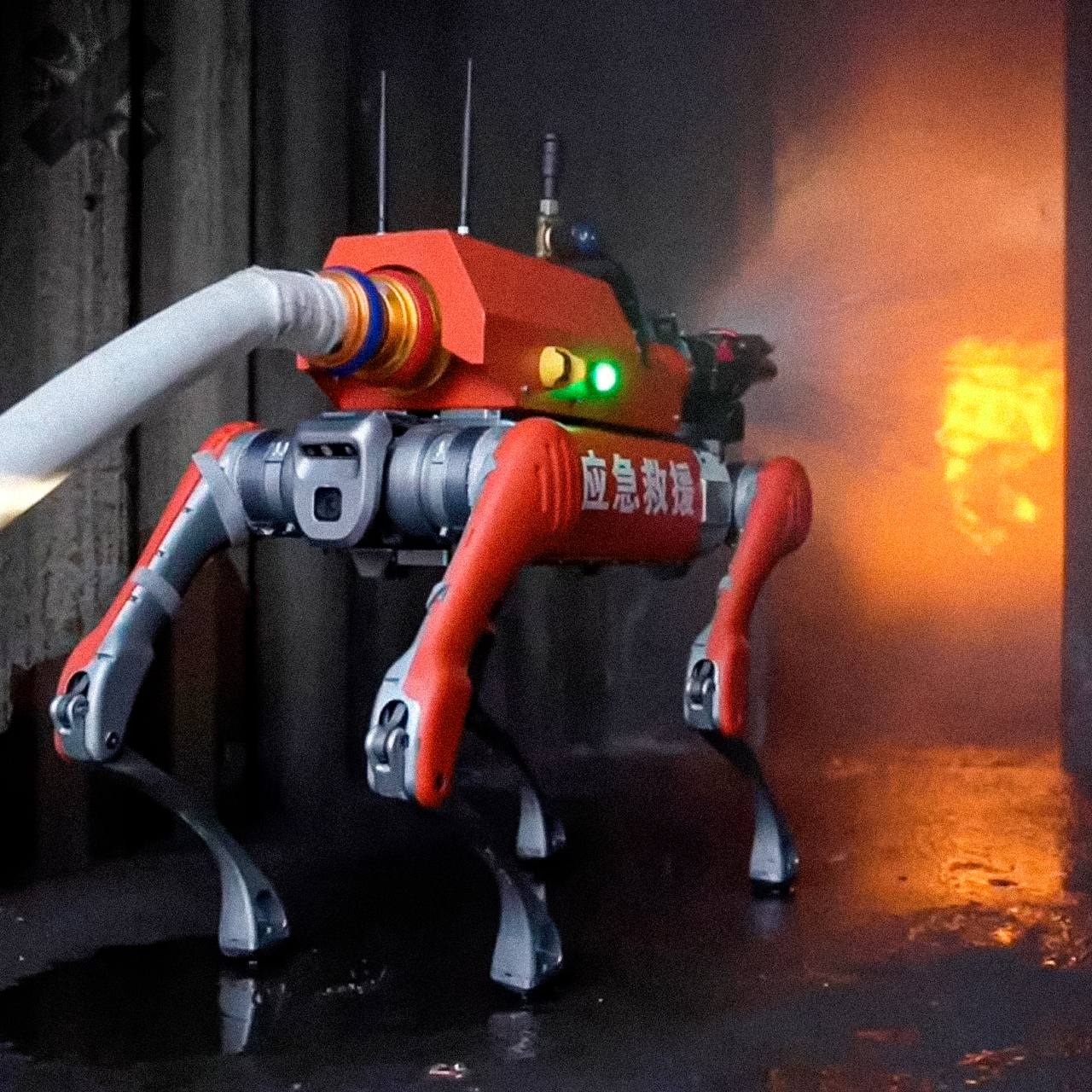 Робо собак в Китае сделали пожарными В Китае робо собак начали использовать для тушения пожаров Компания Unitree представила модифицированную модель B2 способную удерживать рукав с потоком воды до 40 литров в секунду такой объём применяется при серьёзных возгораниях вот это технологии как человек он все равно не среагирует НМШ