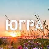 Аватар Телеграм канала: Югра Z Официально
